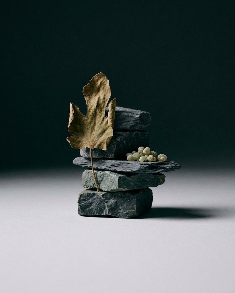 a few rough-cut pieces of dark bluestone and fine-grained slate balanced one on top of another into a low, stable column. A single dried fig leaf stands upright against the stack, slightly curled at its edge, and a small cluster of pale green-amber galbanum resin tears rests on a flat ledge of slate. Dark near-black teal-green gradient background fading to a soft matte light grey floor, clean and empty. 