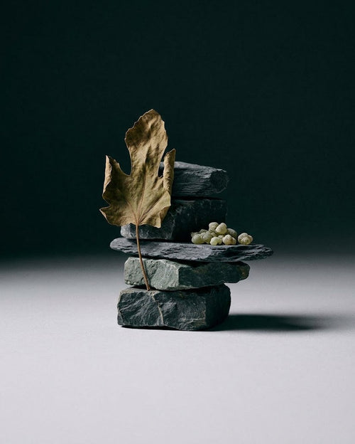 a few rough-cut pieces of dark bluestone and fine-grained slate balanced one on top of another into a low, stable column. A single dried fig leaf stands upright against the stack, slightly curled at its edge, and a small cluster of pale green-amber galbanum resin tears rests on a flat ledge of slate. Dark near-black teal-green gradient background fading to a soft matte light grey floor, clean and empty. 